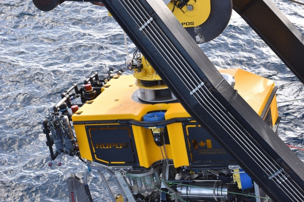 Underwater Remotely Operated Vehicle gives insights into M7.3 East Cape quake