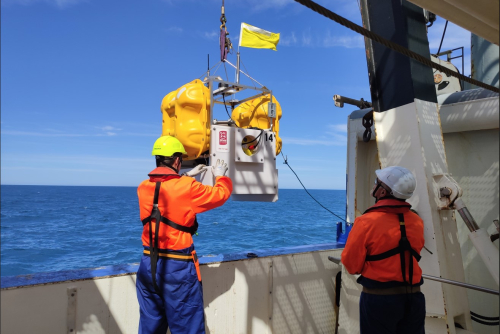 Hikurangi Subduction Earthquakes & Slip Behaviour
