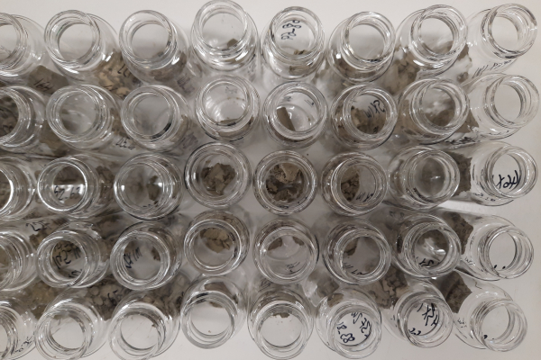 Student identifies ancient volcanic eruptions through “cryptotephra” 