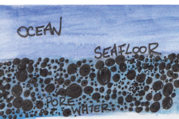 Revelle Blog #3 What is pore water?
