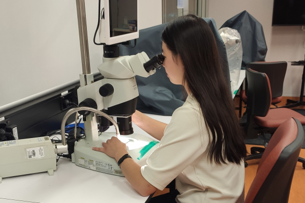 Deep Sea Changes Uncovered by Microscopic Fossils 