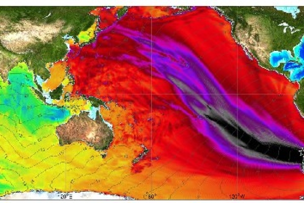 Lessons learnt in New Zealand from 1960 Chile tsunami 