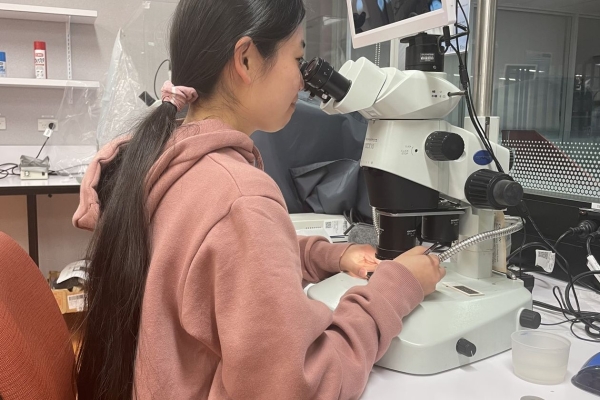 Microscopic fossils help scientists to uncover a link between seismic activity and sediment transport