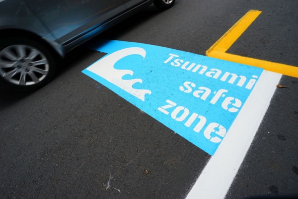 Tracking the path of Porirua tsunamis