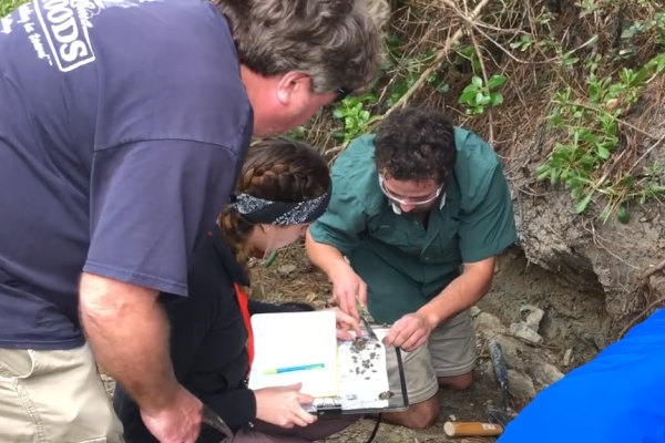 Using shells to date earthquakes