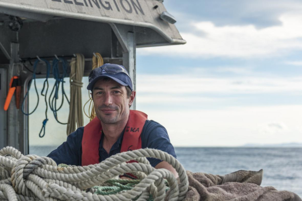 A wave of hazard research