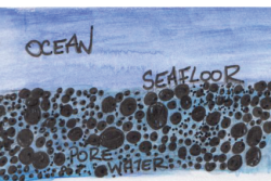 Revelle Blog #3 What is pore water?