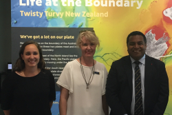 Funding approved for major Hikurangi Response Plan