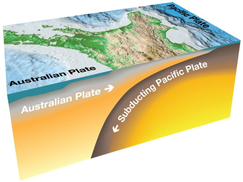 Hikurangi subduction zone4