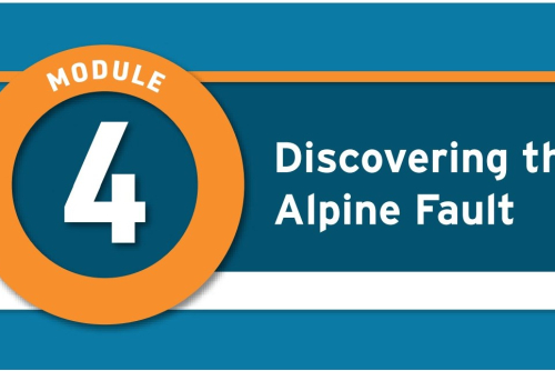 Module 4 Activity Sheet