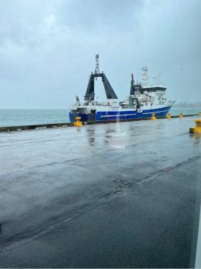 Tangaroa blog 1 1